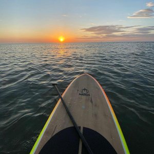 神马看看网红主播美女户外干BB
